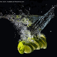 Buy canvas prints of Splash Sliced Lime by John Parker