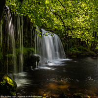 Buy canvas prints of Upper Gushing Falls, Vale of Neath, South Wales, UK by Paul Edney