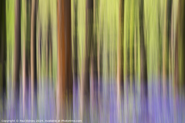 Bluebell icm pastel blur in West Woods Picture Board by Paul Edney