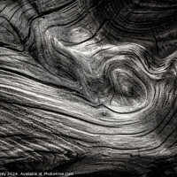 Buy canvas prints of Monochrome curves in driftwood on Ynyslas Beach, W by Paul Edney