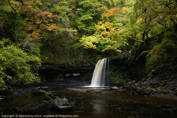 Sgwd Gwladus waterfall, Vale of Neath, Wales Picture Board by Paul Edney