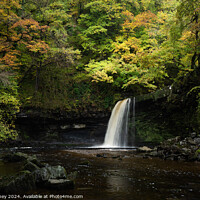 Buy canvas prints of Sgwd Gwladus waterfall, Vale of Neath, Wales by Paul Edney