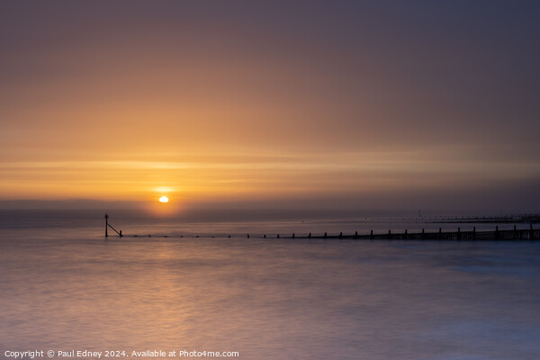 Sunrise over groynes at Overstrand Picture Board by Paul Edney