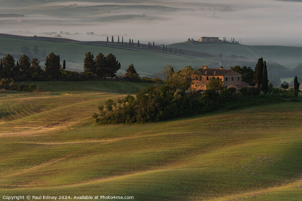 Early morning light on Tuscan hills Picture Board by Paul Edney