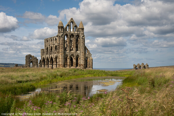 Whitby Abbey with reflection Picture Board by Paul Edney
