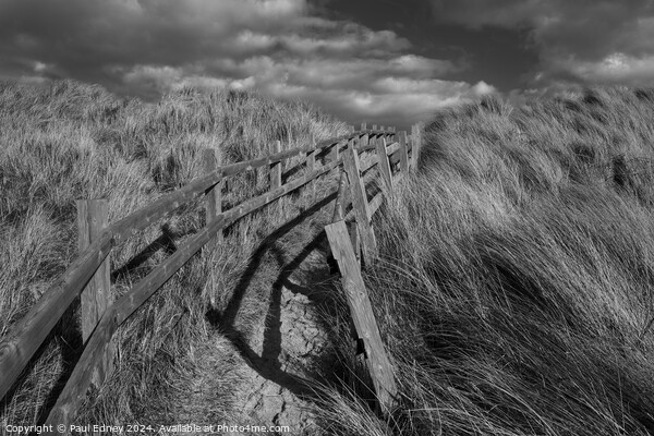Path through the dunes Picture Board by Paul Edney