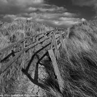 Buy canvas prints of Path through the dunes by Paul Edney