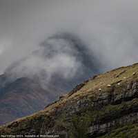 Buy canvas prints of Sheep on the edge, Isle of Skye, Scotland by Paul Edney