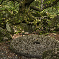 Buy canvas prints of Abandoned mill stone in Padley Gorge in the Peak District by Paul Edney