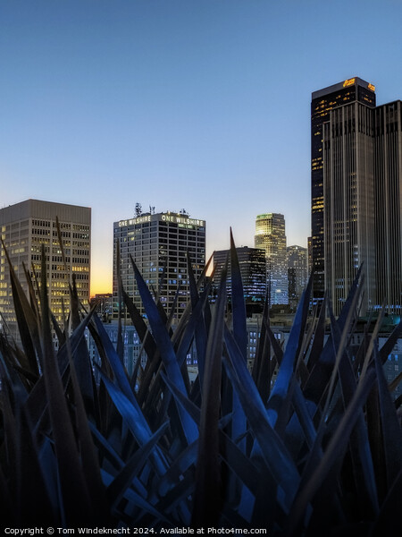 Downtown Los Angeles LA at Blue Hour Picture Board by Tom Windeknecht