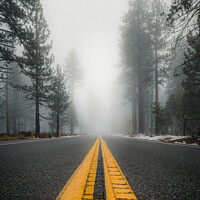 Buy canvas prints of Foggy Forest Road by Tom Windeknecht