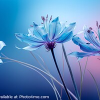 Buy canvas prints of A group of Pale blue Monarda flowers. by Stephen Hippisley