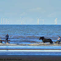 Buy canvas prints of Horses trotting in the sea, Solway Firth.  by Phil Brown