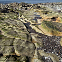 Buy canvas prints of Rocks in Parton Bay, Whitehaven, Cumbria by Phil Brown