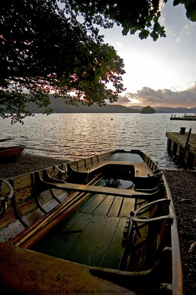 Rowing boat on the shore at Windermere Picture Board by Phil Brown