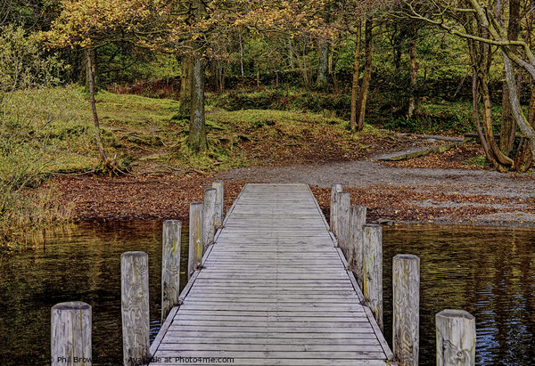 Rigg Wood jetty Coniston Water, Lake District, Cum Picture Board by Phil Brown