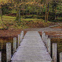 Buy canvas prints of Rigg Wood jetty Coniston Water, Lake District, Cum by Phil Brown