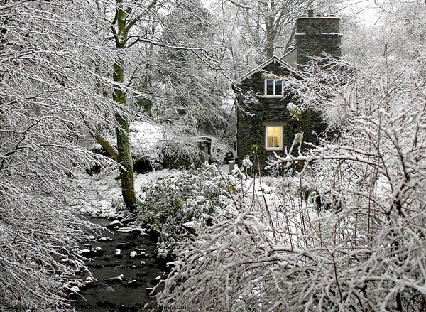 Frosty scene for Lakeland stone cottage in Bowness Picture Board by Phil Brown