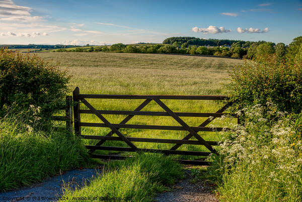 Field gate into pasture. Picture Board by Phil Brown