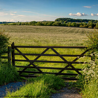 Buy canvas prints of Field gate into pasture. by Phil Brown