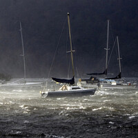 Buy canvas prints of Storms on Windermere for moored yachts. by Phil Brown