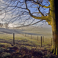 Buy canvas prints of A light frost on sheep pasture in the Lake District, Cumbria. by Phil Brown