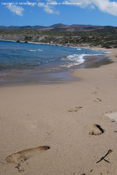 Lara beach Cyprus Picture Board by Adrian Smyth