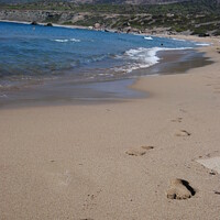 Buy canvas prints of Lara beach Cyprus by Adrian Smyth