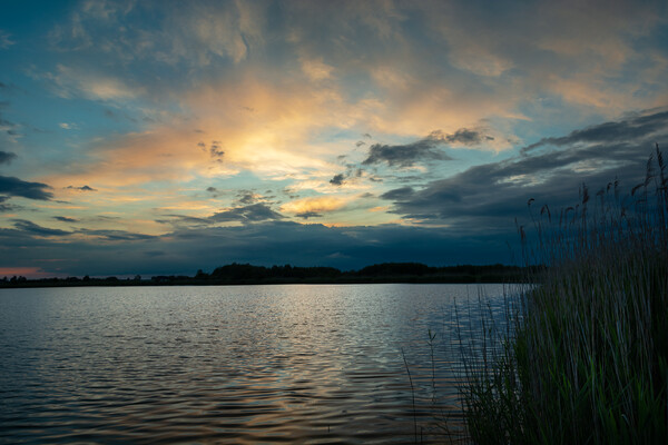 Clouds after sunset over the lake with reeds Picture Board by Dariusz Banaszuk