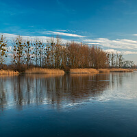 Buy canvas prints of Reflection of trees in a frozen lake by Dariusz Banaszuk