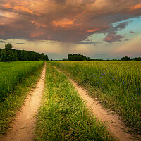 Buy canvas prints of Dirt road through green fields and clouds during sunset by Dariusz Banaszuk