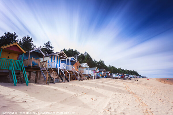 Beach Huts Picture Board by Peter Heal