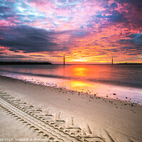Buy canvas prints of Sea Palling Sunrise by Peter Heal