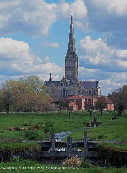 Salisbury Cathedral from the Water Meadows Picture Board by Paul J. Collins
