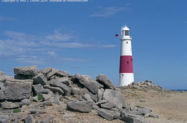 Portland Bill Lighthouse  Picture Board by Paul J. Collins