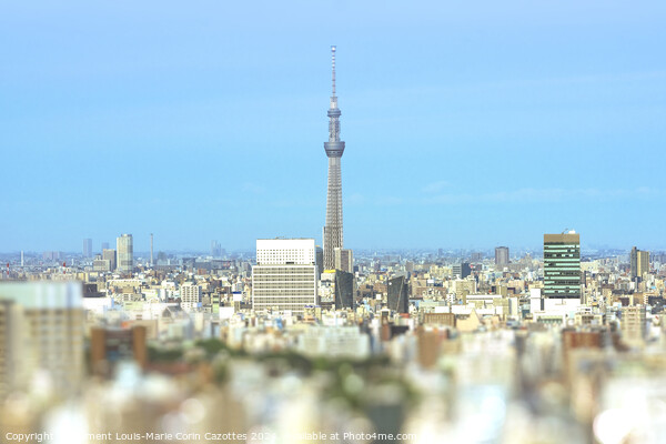 Cityscape of Tokyo with the Skytree tower. Picture Board by  Kuremo