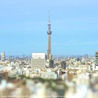 Buy canvas prints of Cityscape of Tokyo with the Skytree tower. by Clement Louis-Marie Corin Cazottes