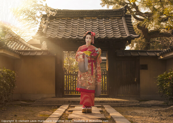 Maiko in a kimono posing on a stone path in front of the gate of a traditional Japanese house surrounded by cherry blossoms and pine trees in the rays of sunset. Picture Board by  Kuremo