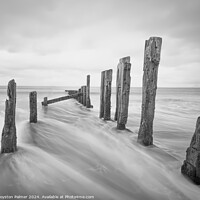 Buy canvas prints of Fine Art - Barmouth Wales  by Royston Palmer