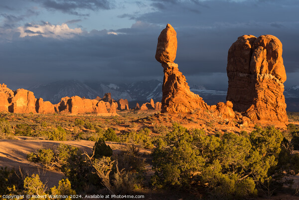Balanced Rock located within Arches National Park Utah Picture Board by Robert Waltman