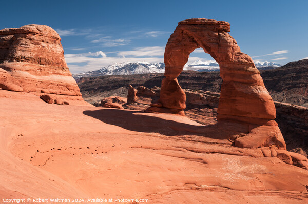 Delicate Arch at Arches National Park Picture Board by Robert Waltman