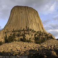 Buy canvas prints of Devils Tower National Monument in Wyoming. by Robert Waltman