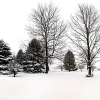 Buy canvas prints of Winter Snow Panorama by Pete Klinger