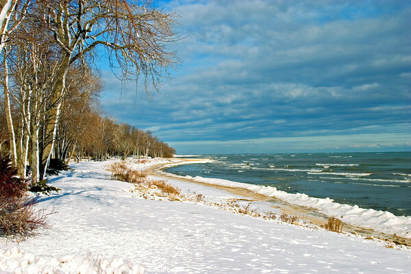 Snow on lake shore in Winter Picture Board by Pete Klinger