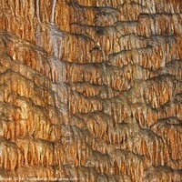 Buy canvas prints of Natural Cave Wall by Pete Klinger