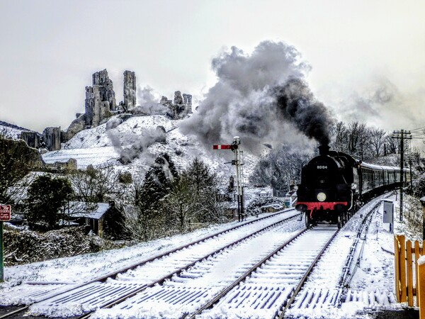 Steam train in snow Picture Board by Sandra  Hawkins 