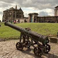 Buy canvas prints of Portuguese cannon on Calton hill by Stephen Chadbond