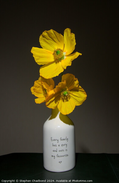 Wild yellow poppies Picture Board by Stephen Chadbond