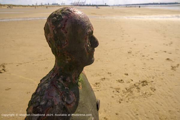 Weathered Iron Statue, Crosby Beach Picture Board by Stephen Chadbond