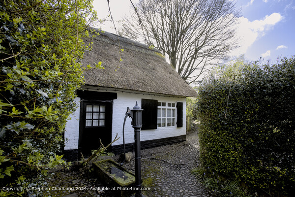 Styal Thatched Cottage Architecture Picture Board by Stephen Chadbond